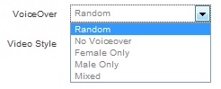 VoiceOver
